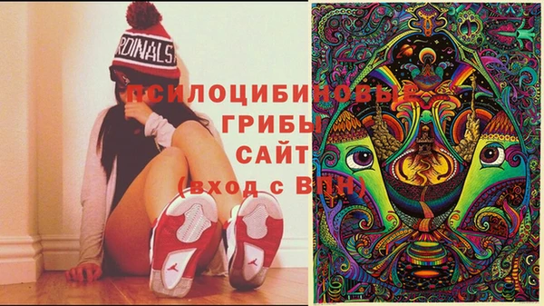 дживик Покров