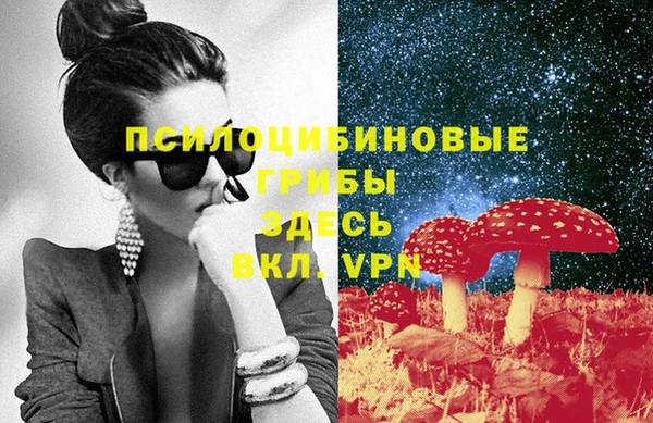 ешки Покачи