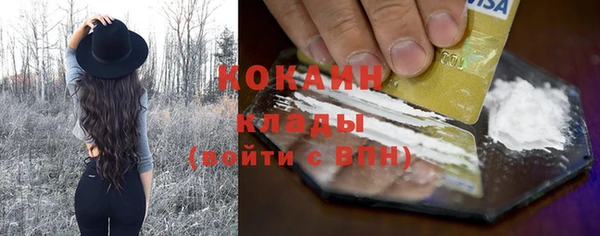 дживик Покров