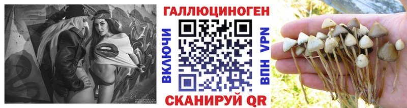 Галлюциногенные грибы Magic Shrooms  гидра маркетплейс  Холм 