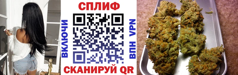 как найти закладки  Холм  Бошки Шишки семена 